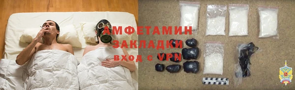 трава Белокуриха