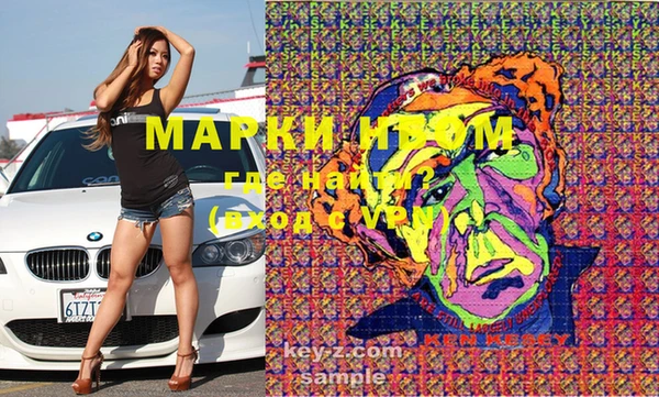 трава Белокуриха