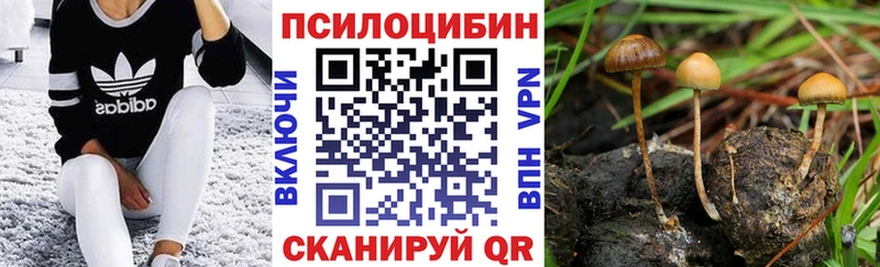 Галлюциногенные грибы ЛСД  Шагонар 